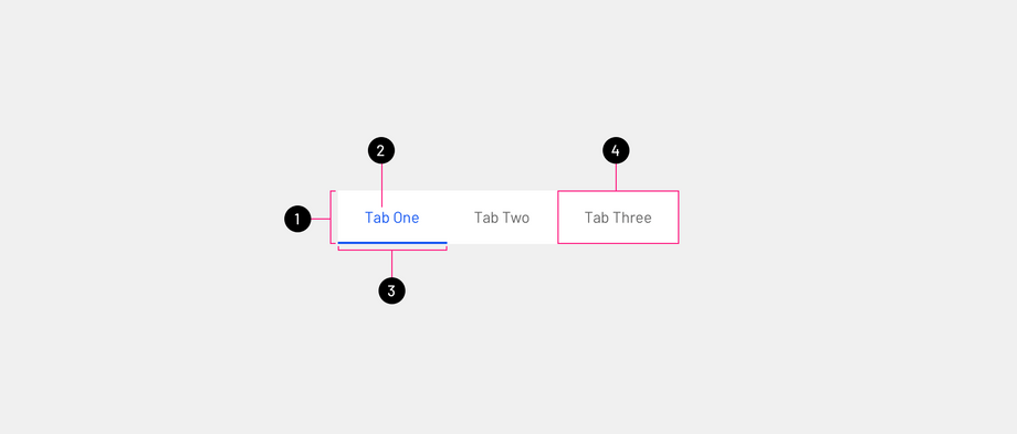 tabs anatomy